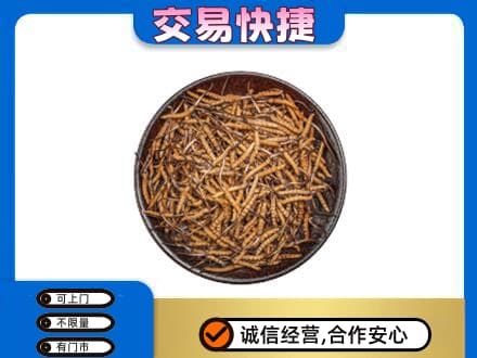 那曲高价回收散虫草